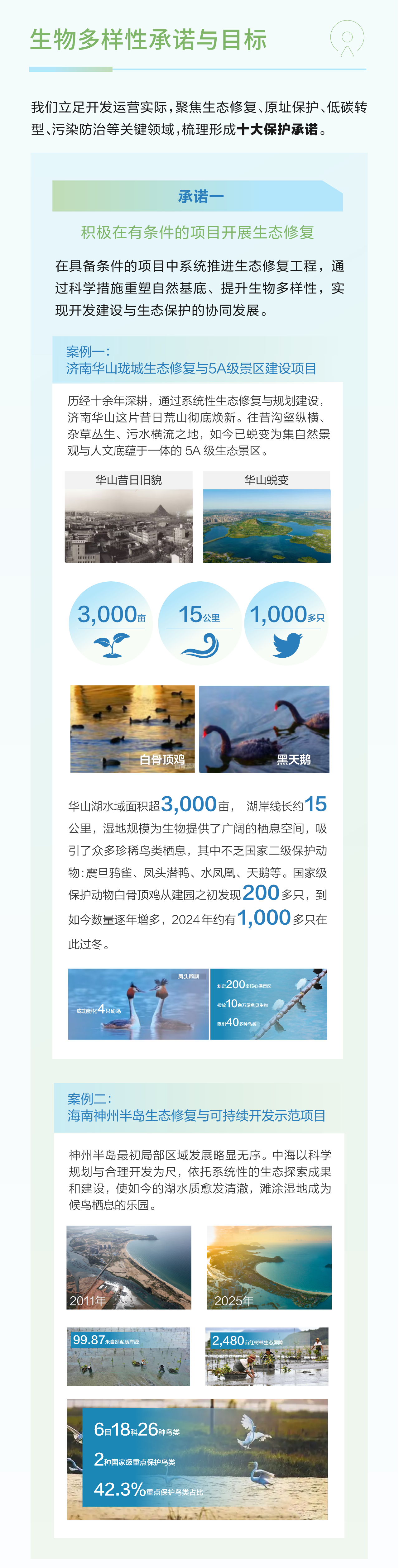 海外444.png 海外444.png