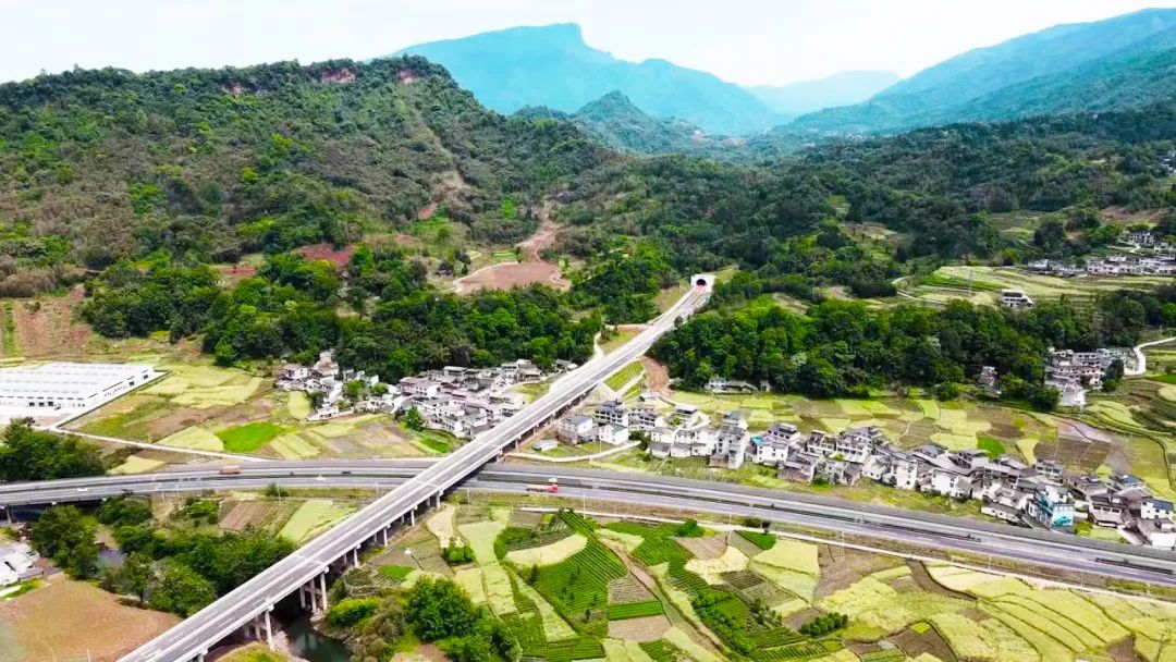 成雅3.jpg
