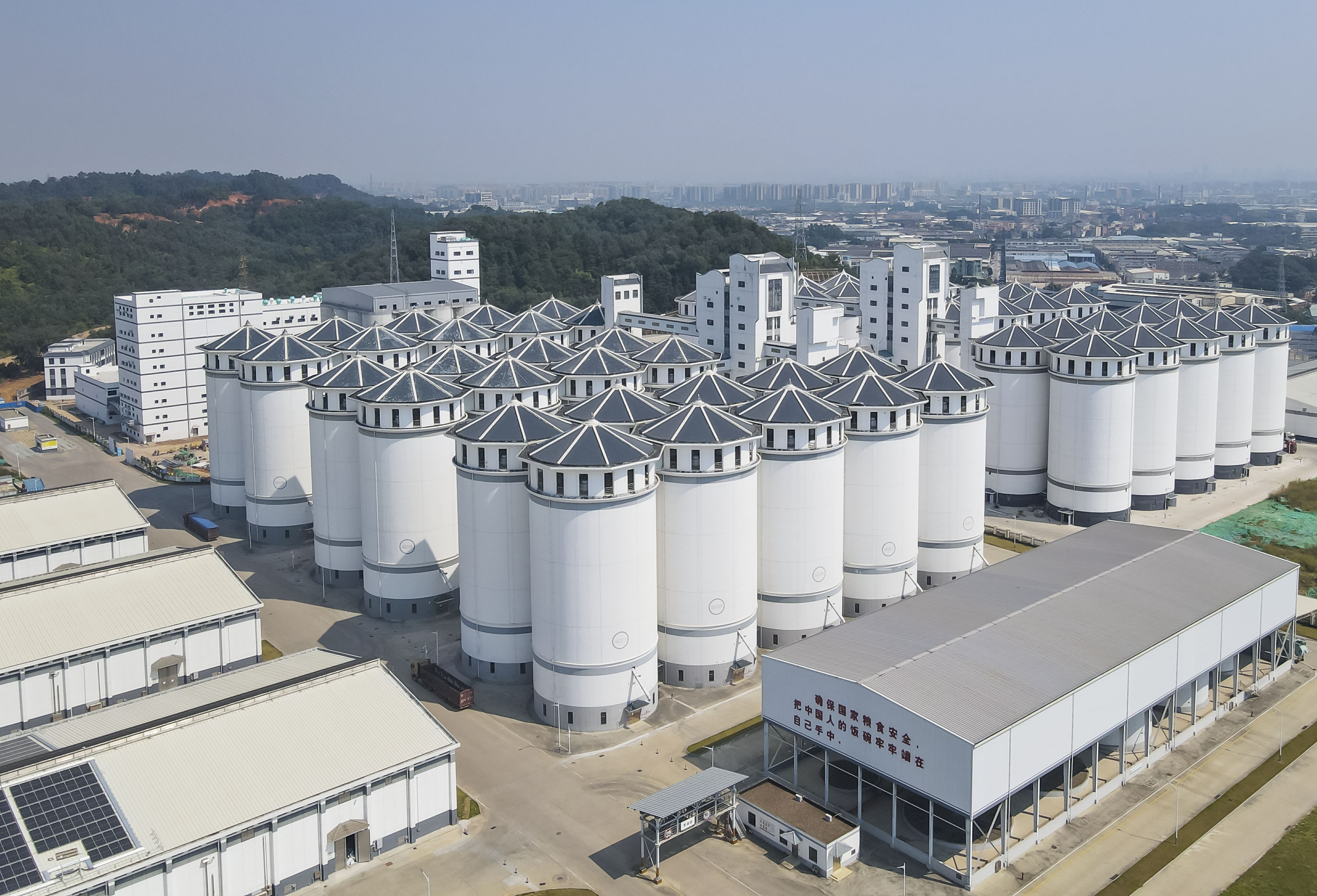 中建四局承建的佛山粮食仓储设施及小麦应急加工生产线建设项目正式投产-粮仓实景图1+林明德摄.jpg