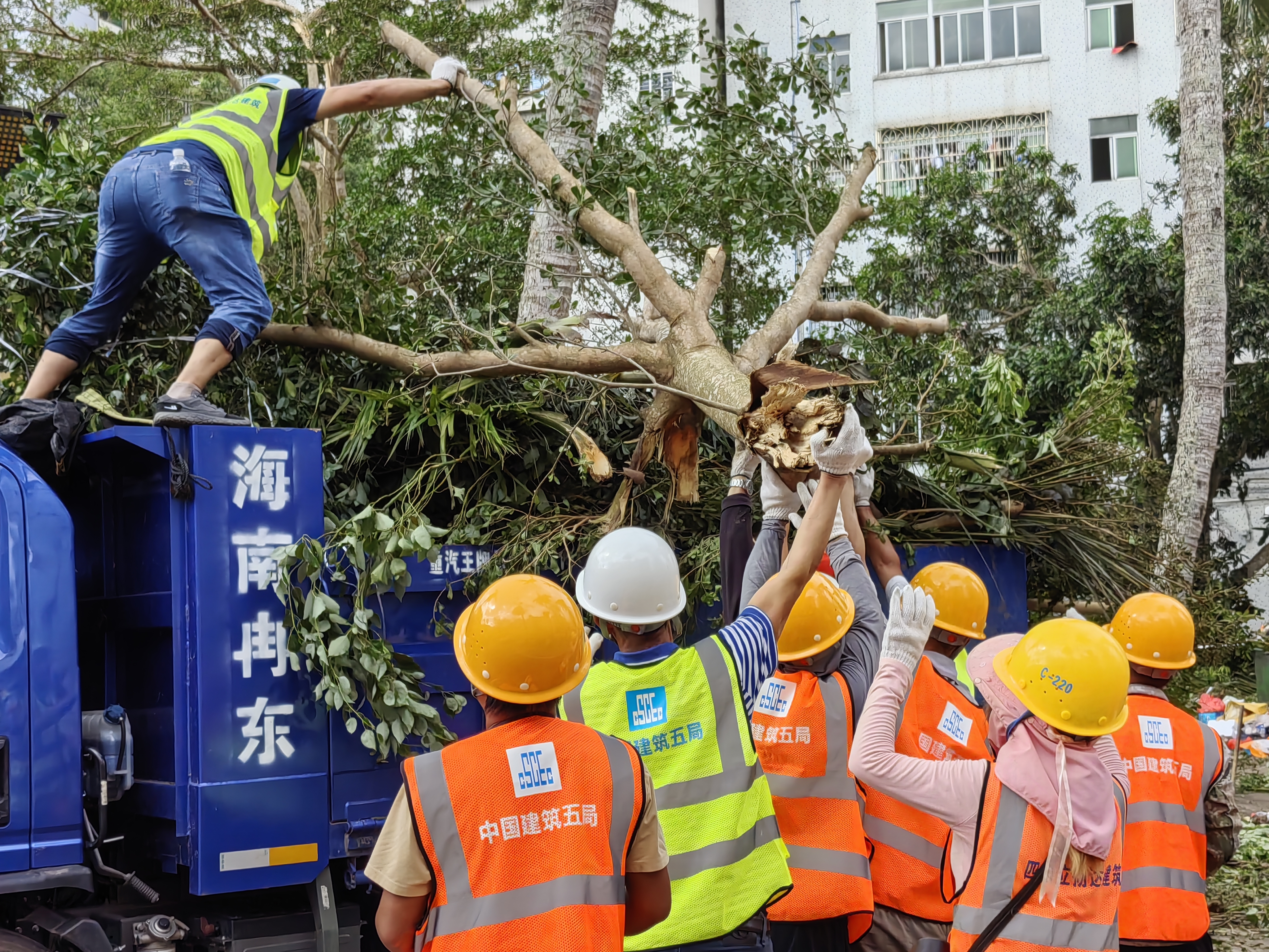 中建五局救援人员在文昌市清理倒伏树木。.jpg