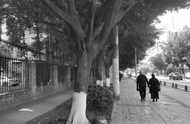 玉林333.png 玉林333.png