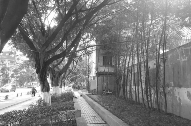 玉林666.png 玉林666.png