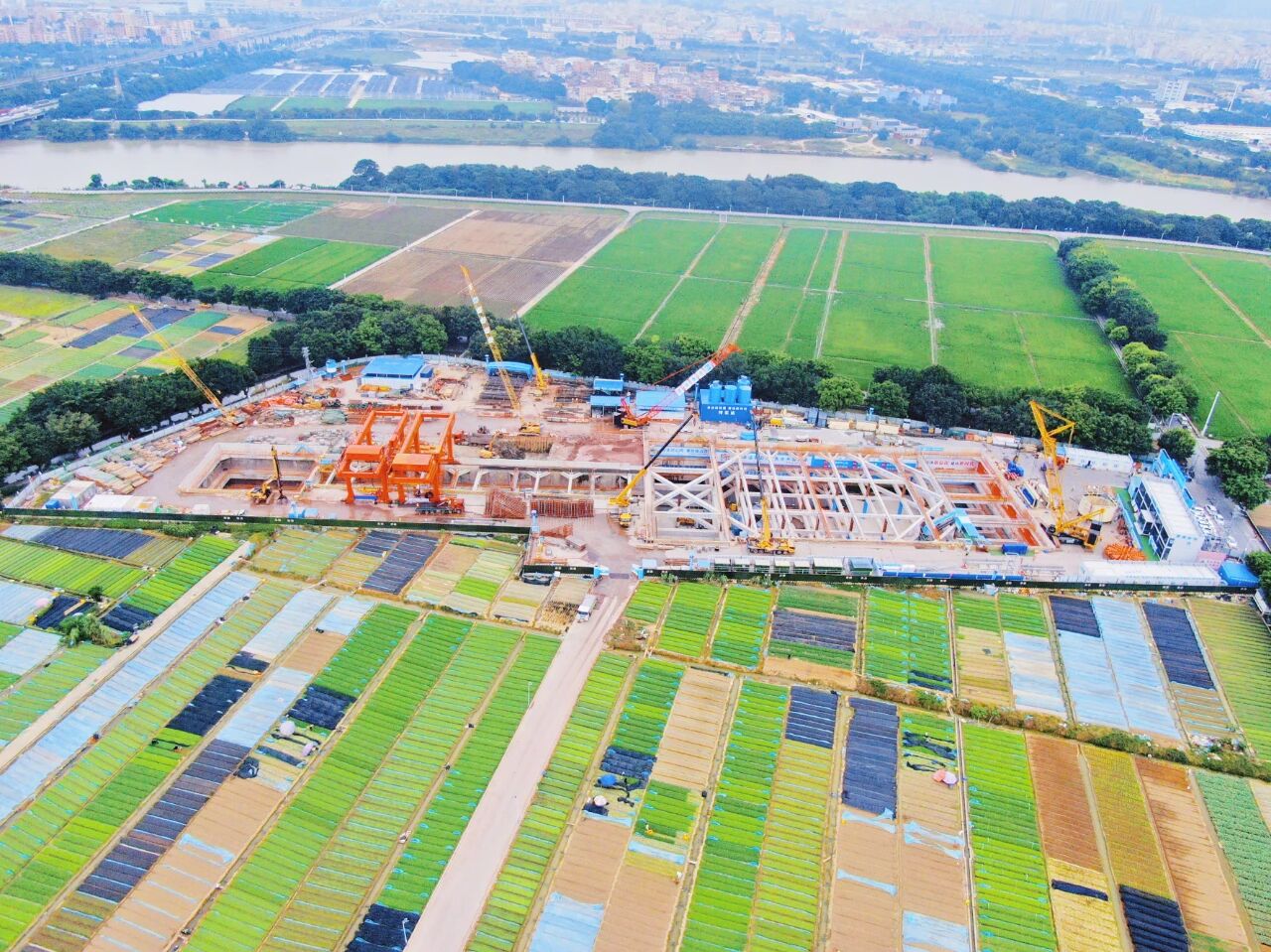 党支部111.jpg 党支部111.jpg