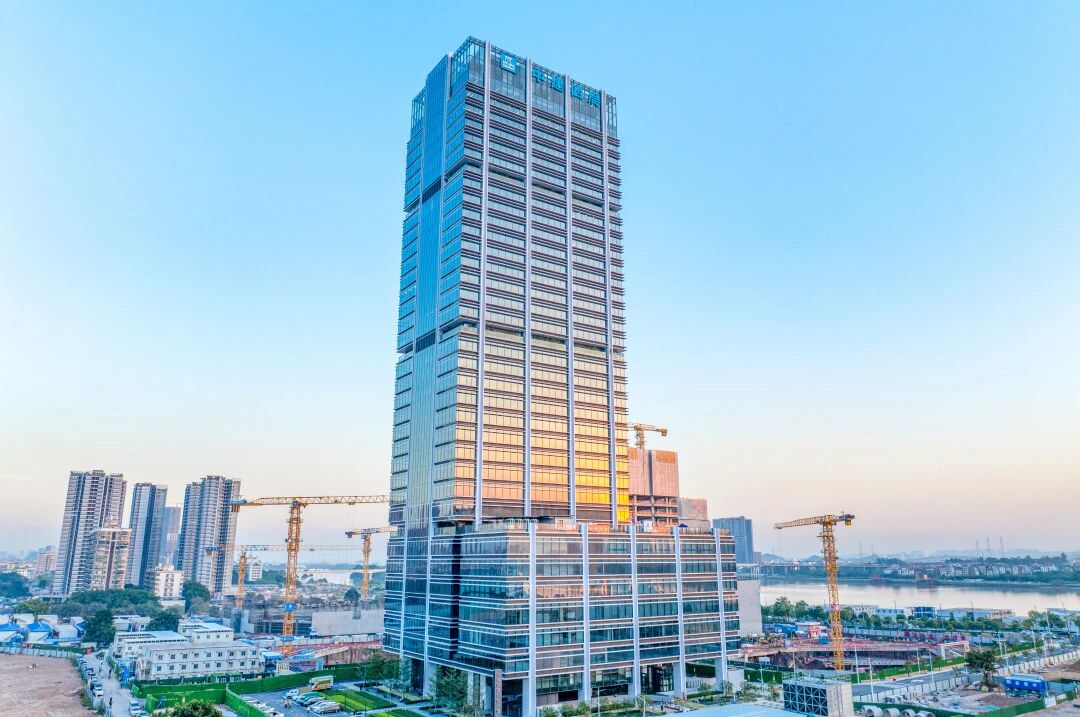 党支部444.jpg 党支部444.jpg