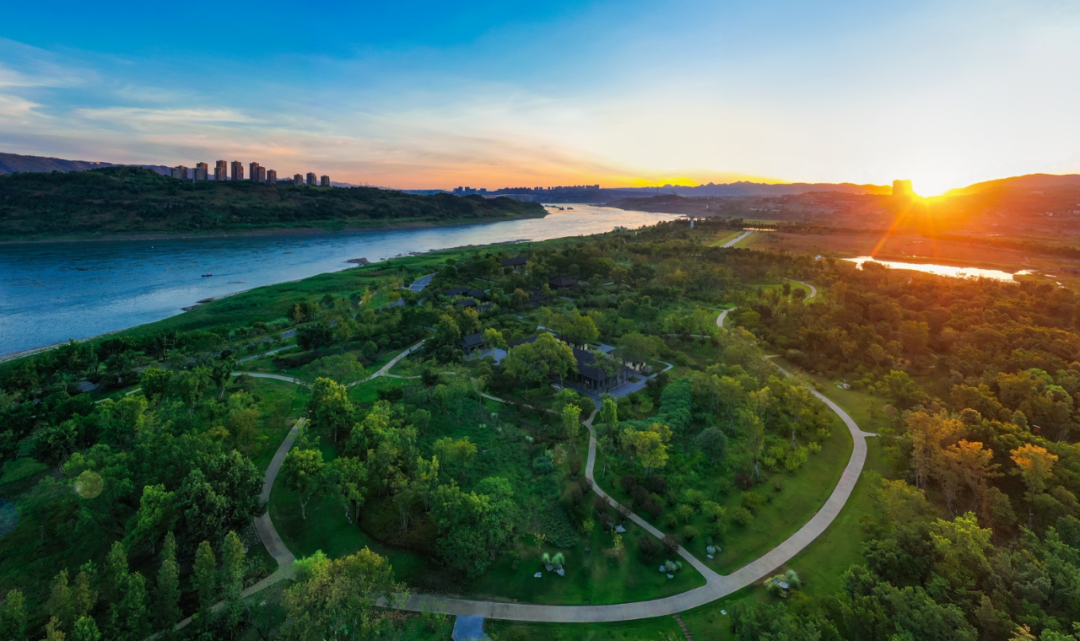 广阳岛222.png 广阳岛222.png